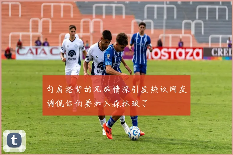 勾肩搭背的兄弟情深引发热议网友调侃你们要加入森林狼了