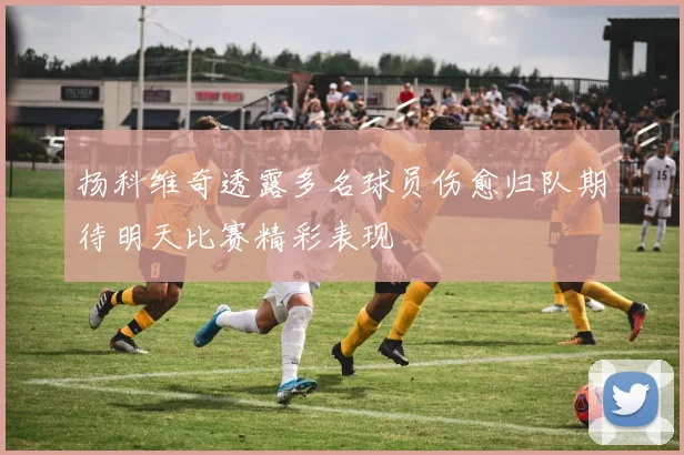扬科维奇透露多名球员伤愈归队期待明天比赛精彩表现
