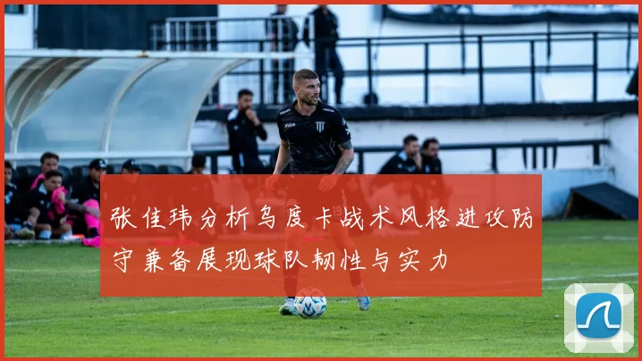 张佳玮分析乌度卡战术风格进攻防守兼备展现球队韧性与实力
